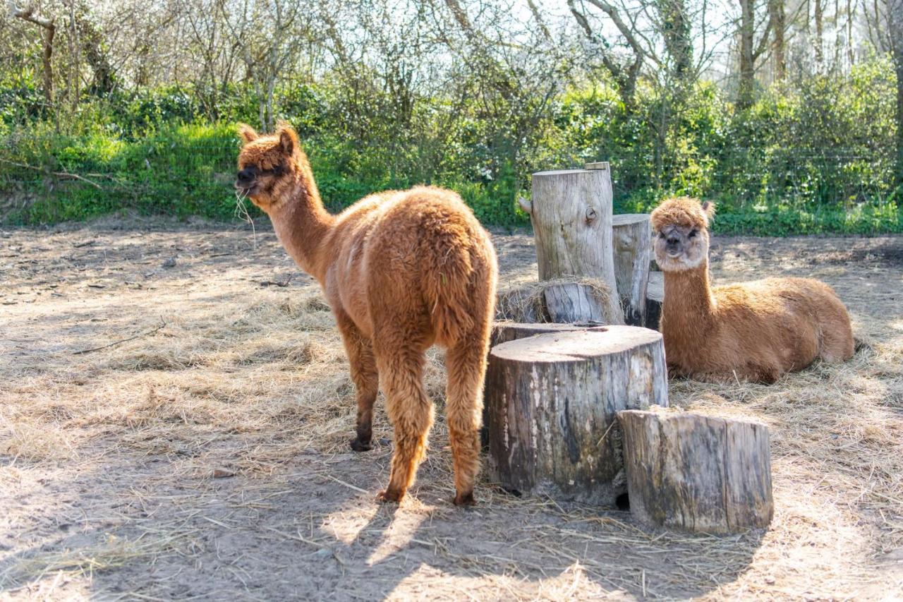 Camping Les Carolins Saint-Lo-d'Ourville エクステリア 写真